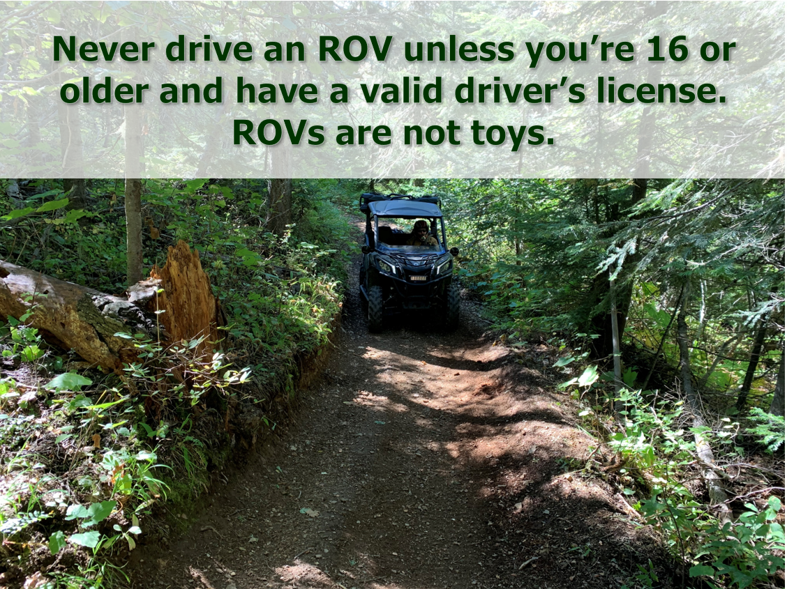 Never drive an ROV unless you're 16 or older and have a valid driver's license. ROVs are not toys.